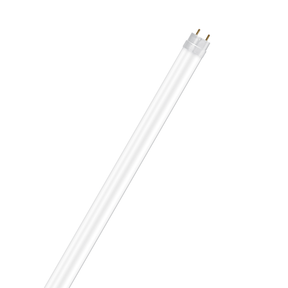 tube LED T8